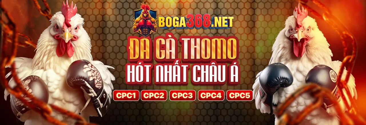 Công bằng và Minh bạch